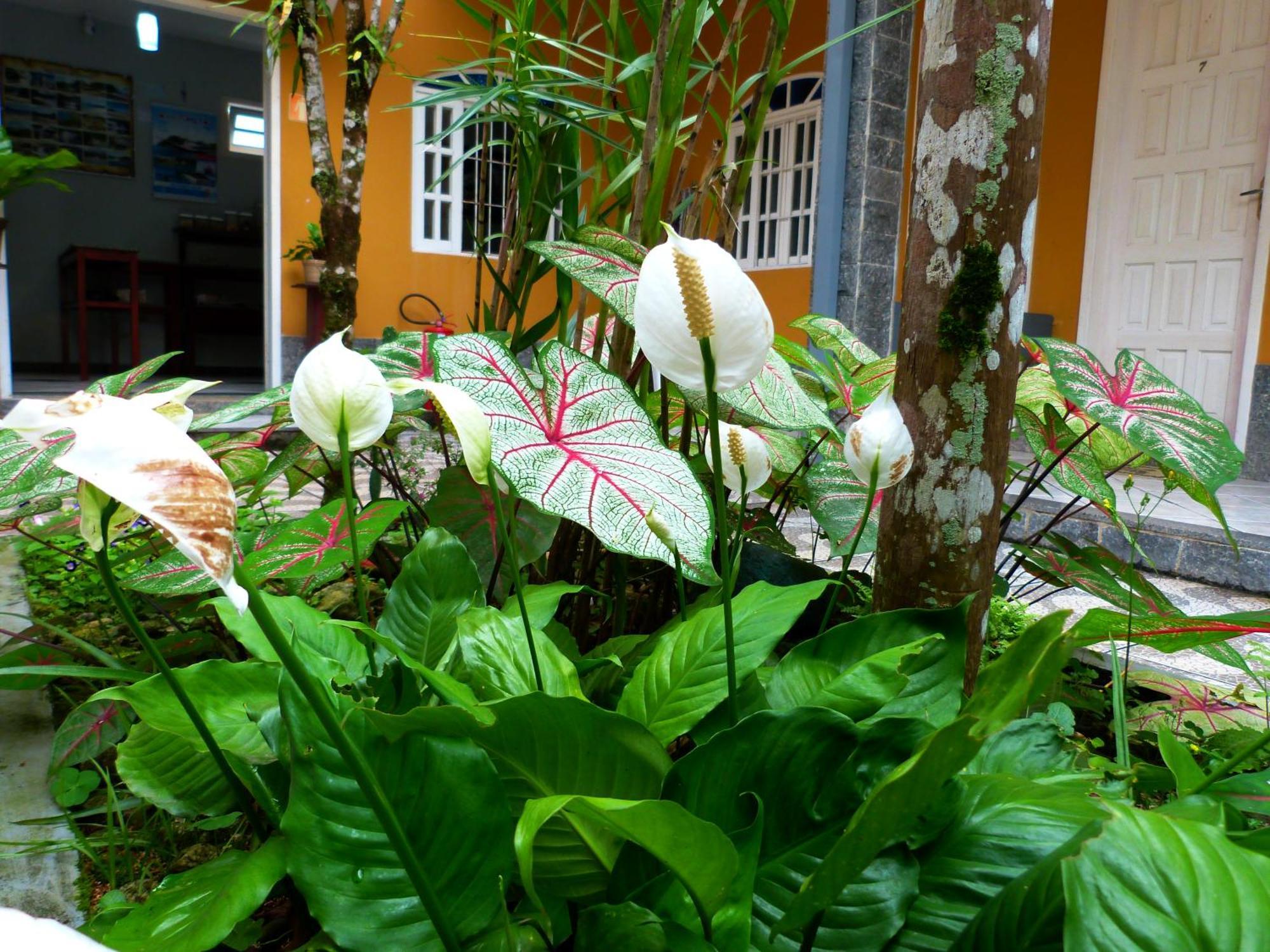 Pousada Vila Do Sonho Araquari Exterior foto